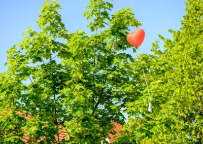 Herzballon schwebt in Baumkronen bei Hochzeit auf Gut Schloss Sulzemoos. Klarer Himmel im Hintergrund.