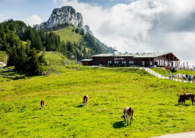 Landschaft an der Sonnenalm Kampenwand mit grasenden Kuehen und Berg im Hintergrund, Ort fuer Hochzeitsfoto.