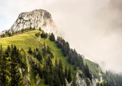 Berglandschaft mit gruenen Huegeln und Fichten bei Kampenwand, idealer Ort fuer Hochzeitsfotografie.