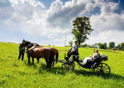 Hochzeitspaar in einer Kutsche auf einer Wiese bei Uffing am Staffelsee. Hochzeitsfoto mit Pferden und Fahrer.