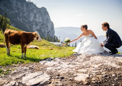Brautpaarfoto mit Kuh und Alpenpanorama, aufgenommen bei einer Hochzeit im Chiemgau, Hochzeitsfotografie Oberbayern.