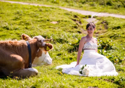 Braut in weiss neben Kuh auf Wiese, Hochzeitsfoto bei Chiemgau, sonnige Hochzeitsfotografie im Freien.