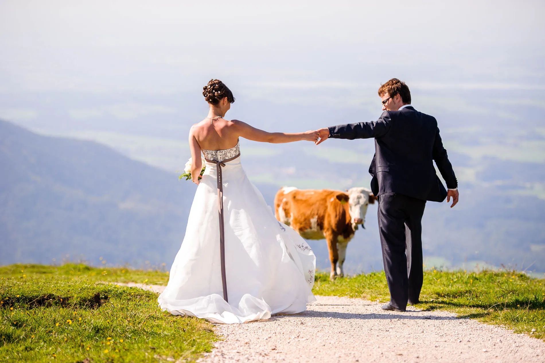 Brautpaar Hand in Hand auf Wiese mit Kuh im Hintergrund, Hochzeitsfoto in Oberbayern nahe der Kampenwand.