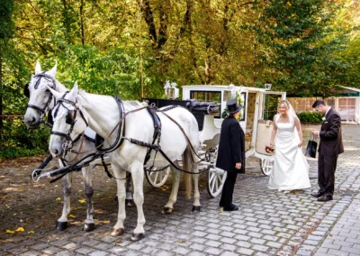Brautpaar steigt in eine Kutsche mit weißen Pferden im englischen Garten München bei der Hochzeitsreportage.