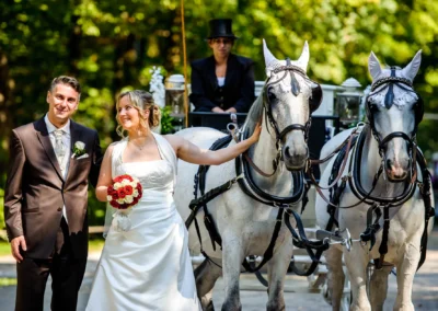 Brautpaar mit Pferdekutsche im englischen Garten Schwabing, festliche Hochzeitsfotografie.