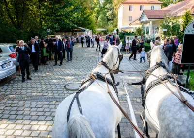 Pferdekutsche bei Hochzeit in Hirschau Schwabing, Gaeste versammelt im Hintergrund, Hochzeitsfotografie in Muenchen.